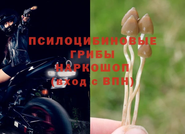 PSILOCYBIN Бугульма